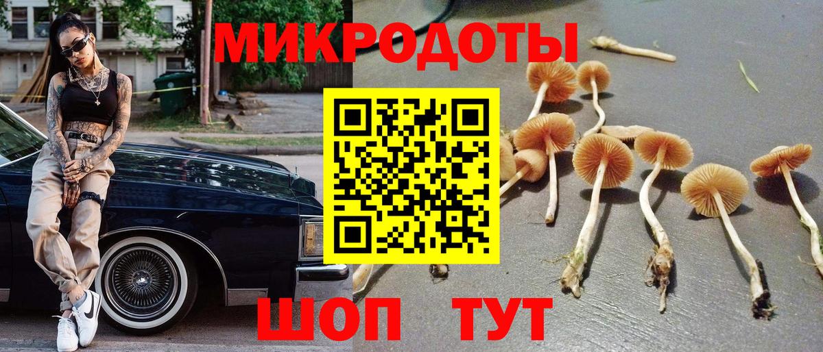 Качканар  Галлюциногенные грибы GOLDEN TEACHER  Галлюциногенные грибы мухоморы  Вход с VPN 